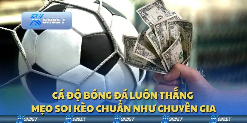 Cá độ bóng đá luôn thắng - Mẹo soi kèo chuẩn như chuyên gia