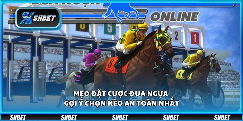 Mẹo đặt cược đua ngựa - Gợi ý chọn kèo an toàn nhất