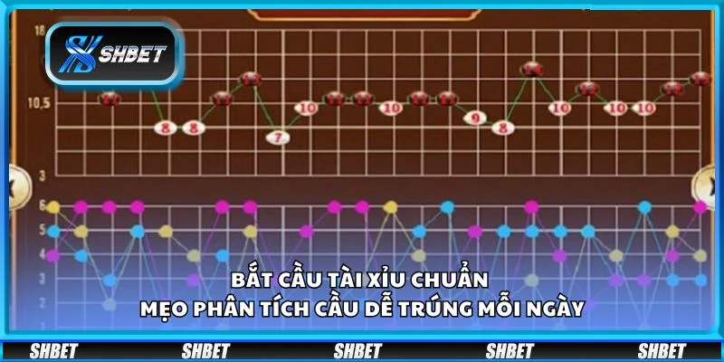 Bắt cầu tài xỉu chuẩn – Mẹo phân tích cầu dễ trúng mỗi ngày