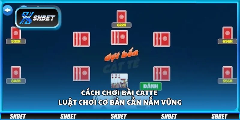 Cách chơi bài Catte - Luật chơi cơ bản cần nắm vững