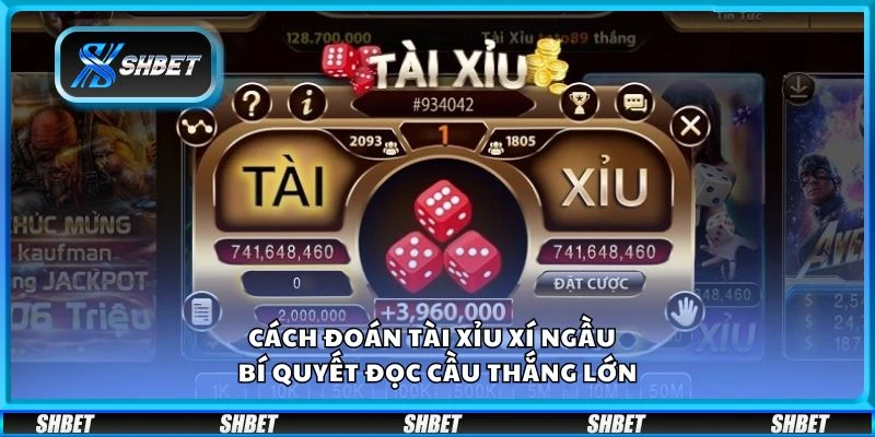 Cách đoán tài xỉu xí ngầu – Bí quyết đọc cầu thắng lớn