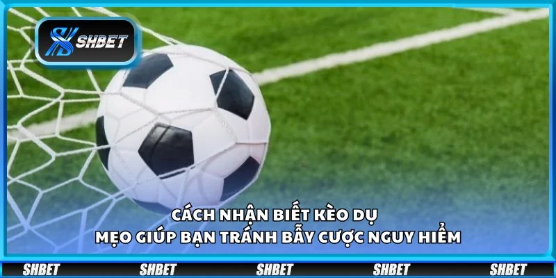 Cách nhận biết kèo dụ - Mẹo giúp bạn tránh bẫy cược nguy hiểm