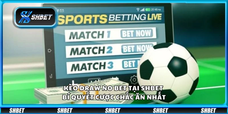 Kèo draw no bet tại Shbet - bí quyết cược chắc ăn nhất