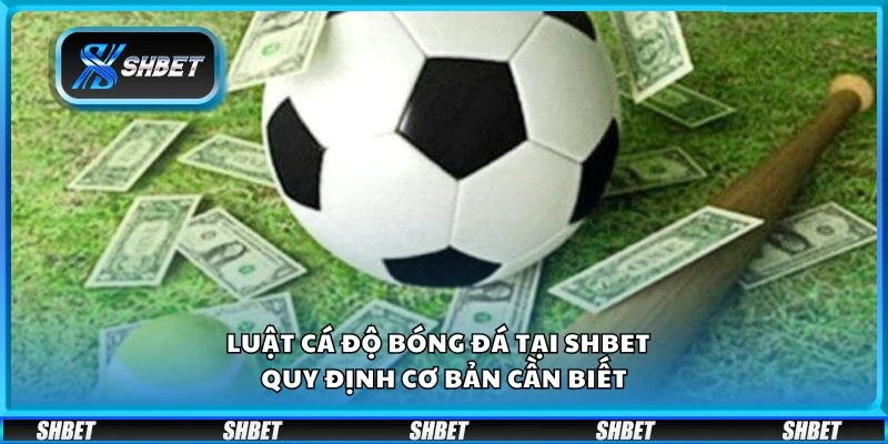 Luật cá độ bóng đá tại Shbet - Quy định cơ bản cần biết