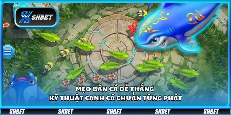 Mẹo bắn cá dễ thắng - Kỹ thuật canh cá chuẩn từng phát