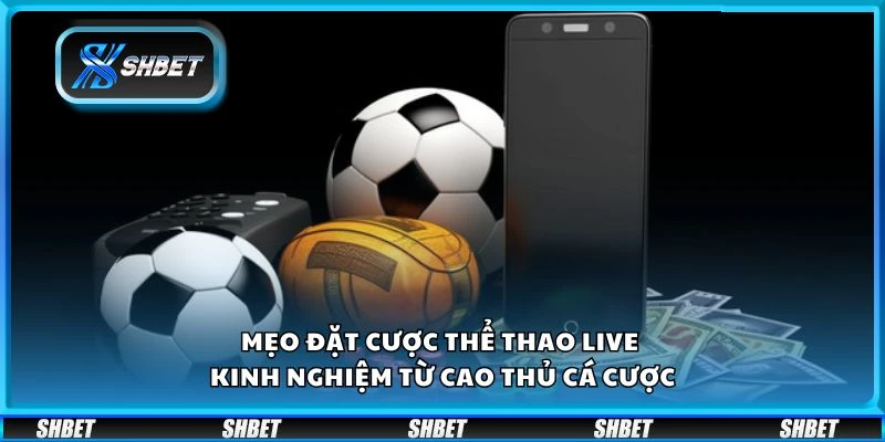 Mẹo đặt cược thể thao live - Kinh nghiệm từ cao thủ cá cược